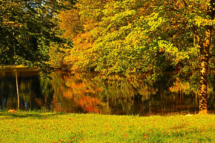 Herbstspaziergang im Schlosspark Laxenburg