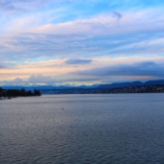 Der Zürichsee